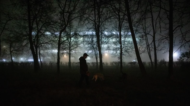МЧС: Туман ожидается в Подмосковье в ночь на 18 ноября