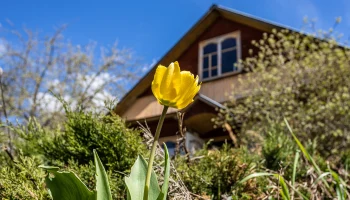 Россиянам с 1 сентября запретили ведение бизнеса на дачах и наем для сбора урожая