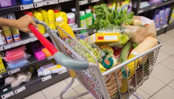 Эксперт Мосягин: четкие стандарты помогают гарантировать безопасность и качество продукции