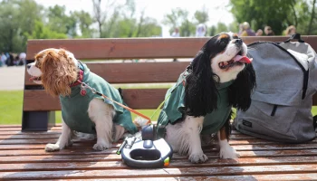 Синоптик Ильин пообещал отличную погоду в Москве на майских праздниках