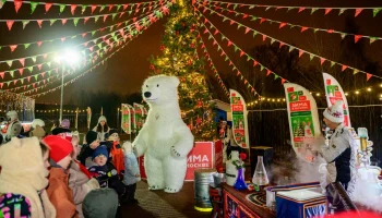 Более 200 новогодних мероприятий подготовили для москвичей в ТиНАО