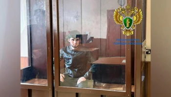 Мужчину, который насмерть сбил ребенка в Москве, приговорили к колонии