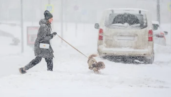 В Госдуме назвали погодные условия, при которых на работе не поставят прогул