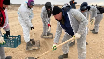 Работа волонтеров по очистке пляжей в Анапе приостановлена из-за непогоды
