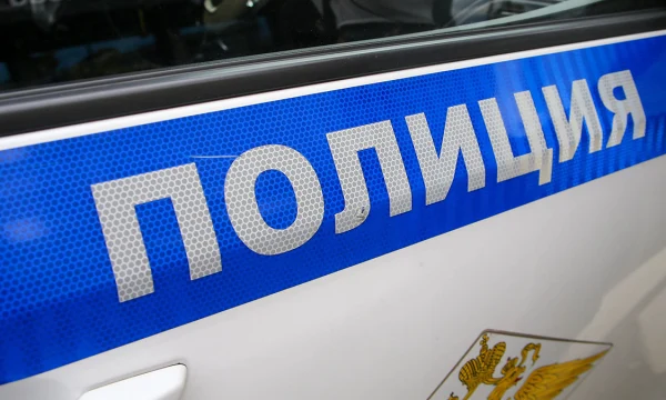 Треш-блогеров задержали в Санкт-Петербурге за ролик с убийством голубя Треш-блогеров задержали в Санкт-Петербурге за ролик с убийством голубя