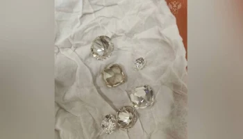 В Дагестане задержали мужчину с бриллиантами на 41 млн рублей из ОАЭ