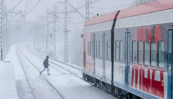 Еще два сантиметра снега выпадет в Москве в ночь на 11 января