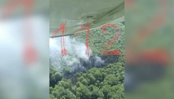 ТАСС: упавший в Подмосковье самолет выходил на связь спустя 4 минуты после вылета