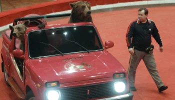 Умер дрессировщик Виктор Кудрявцев