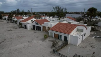 NYP: тюрьма грозит мужчине, привязавшему собаку к забору во время урагана во Флориде