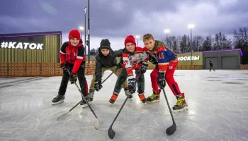 Собянин: новые детские сады и крытый каток появятся в Бирюлеве Восточном