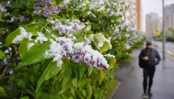 Синоптики рассказали, что в Москве 20 мая будет 24 градуса тепла и без осадков