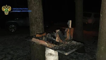 Неизвестный сжег кормушки для птиц в Бирюлевском дендропарке