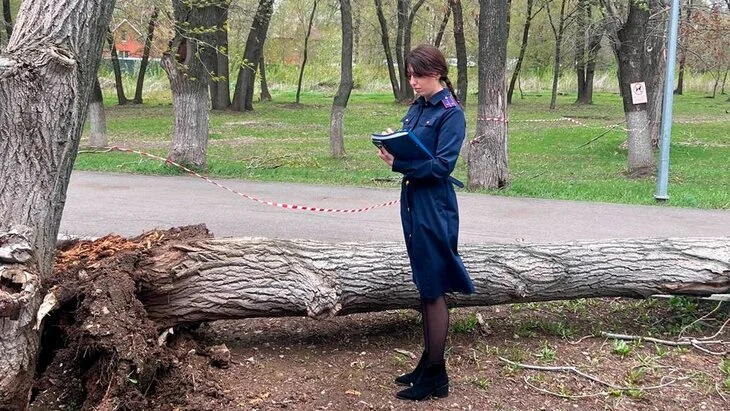 Состояние пострадавшей при падении дерева в Самаре девочки стабильно среднетяжелое Состояние пострадавшей при падении дерева в Самаре девочки стабильно среднетяжелое