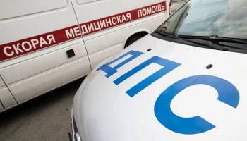 Число погибших на дорогах Москвы детей выросло на 67% с начала 2024 года