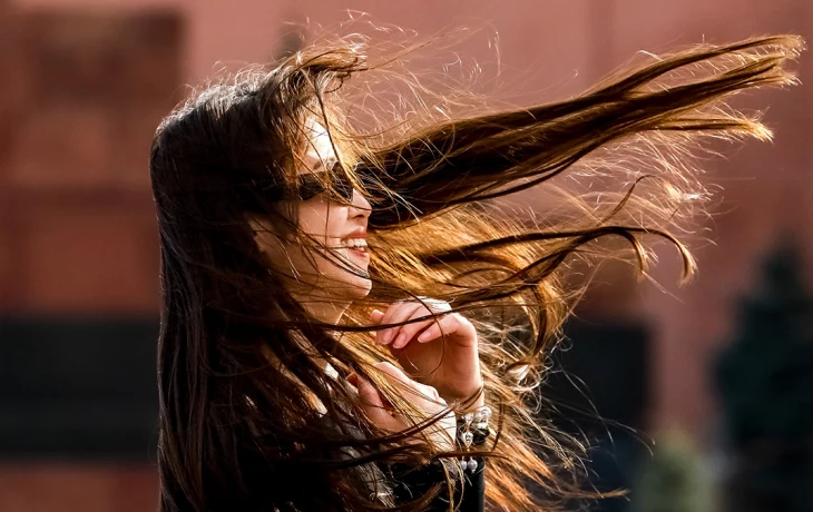 МЧС предупредили о сильном ветре с порывами в Москве МЧС предупредили о сильном ветре с порывами в Москве