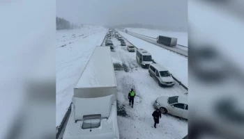 Прокуратура проконтролирует установление обстоятельств ДТП в Подмосковье