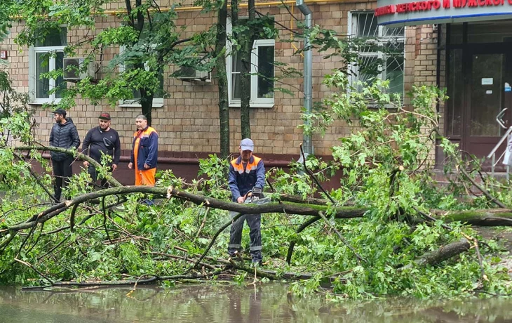Два человека пострадали при падении деревьев во время урагана в Москве Два человека пострадали при падении деревьев во время урагана в Москве