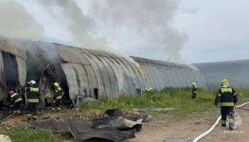 Пожар в Новой Москве ликвидирован