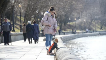 Синоптики пообещали москвичам солнечную погоду без осадков 3 марта