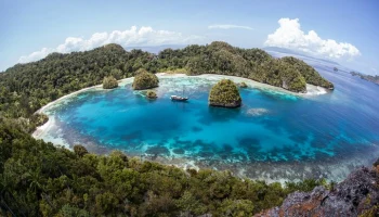 Землетрясение магнитудой 5,0 произошло в Папуа &ndash; Новой Гвинее