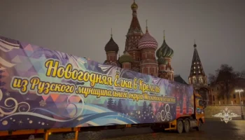 Главную новогоднюю елку страны привезли в Кремль