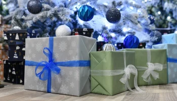 Дед Мороз навестит семьи бойцов СВО и ветеранов в Басманном районе