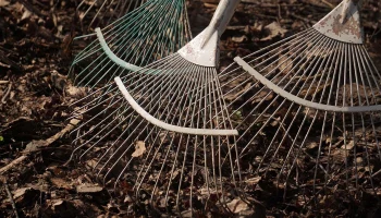 Дети из &laquo;Движения первых&raquo; при столичной школе № 1391 проведут субботник 11 апреля