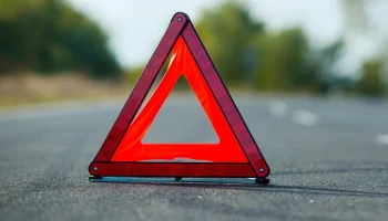 Автоюрист Воропаев: при ДТП с животным водитель должен обратиться в ГАИ