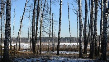 В &laquo;Лосином острове&raquo; впервые выделят зоны охраны для защиты экосистемы