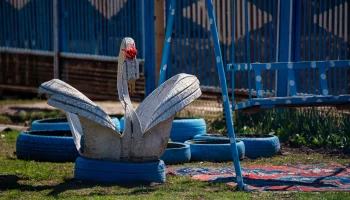 Лебеди из покрышек вне закона: какие штрафы грозят россиянам за ЖЭК-арт