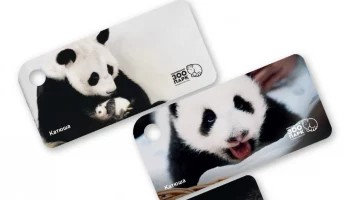 Тематические брелоки &laquo;Тройка&raquo; с пандой Катюшей поступили в продажу