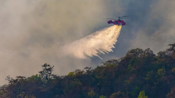 Режим ЧС введен в Туве из-за лесных пожаров Режим ЧС введен в Туве из-за лесных пожаров