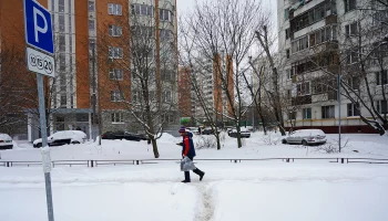 Синоптик Позднякова спрогнозировала снегопад в Москве в ночь на 4 февраля
