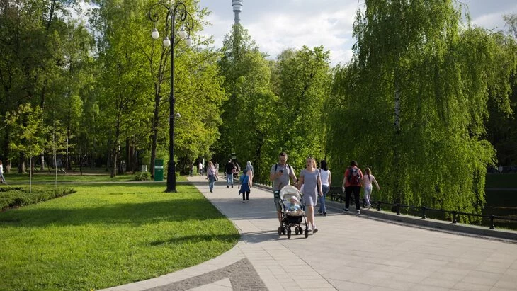 Московские парки возобновили работу Московские парки возобновили работу