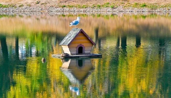 Более 20 прудов благоустроят в столице в этом году