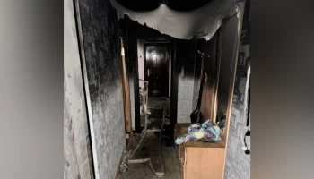 Искусственная ель загорелась в квартире многодетной семьи в Магадане