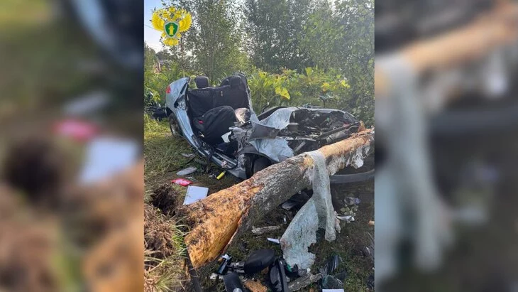 Три человека погибли при столкновении автомобиля с деревом в ТиНАО Три человека погибли при столкновении автомобиля с деревом в ТиНАО