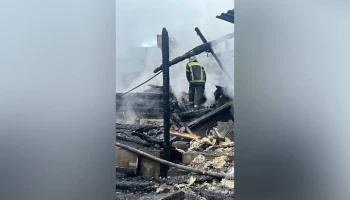 Омбудсмен Мишонова: замыкание проводки могло стать причиной пожара в доме в Орехово-Зуеве