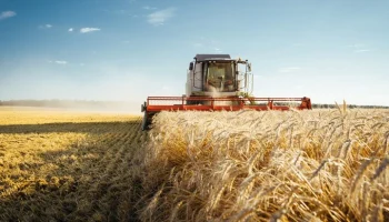 Аграриев юга России предупредили о потере до 25% урожая