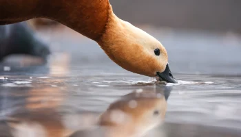 &laquo;Аномально тепло&raquo;: какая погода ожидается в Москве в предстоящие выходные