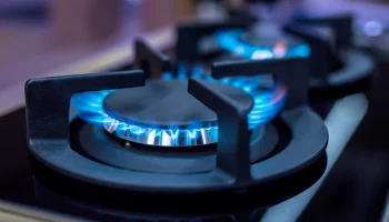 Путин поручил правительству утвердить графики догазификации СНТ к августу