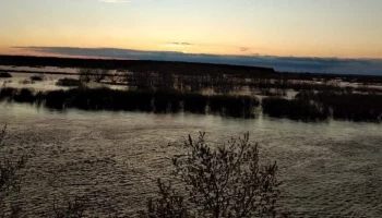 Уровень воды в Тоболе у Кургана снизился за сутки на 10 см