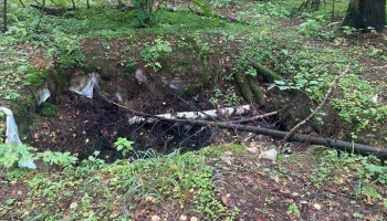 Останки человека найдены в лесу в ТиНАО