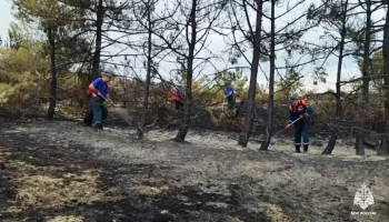 Лесной пожар в районе Тепе-Оба в Крыму полностью ликвидирован