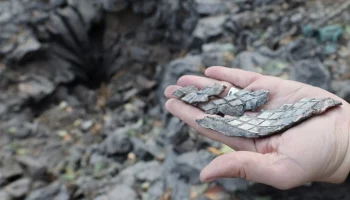 Село Сушаны Брянской области попало под обстрел ВСУ