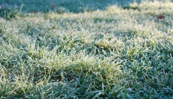 Вильфанд предупредил москвичей о заморозках и снеге на выходных