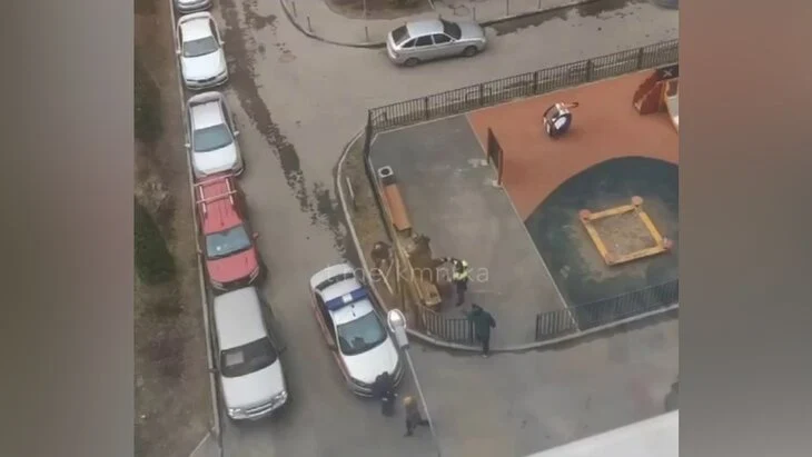 После стрельбы у детсада в ТиНАО возбуждено дело о хулиганстве После стрельбы у детсада в ТиНАО возбуждено дело о хулиганстве