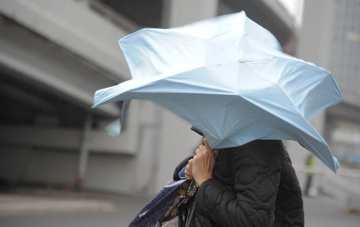 Москвичей призвали не оставлять автомобили рядом с деревьями в шторм Москвичей призвали не оставлять автомобили рядом с деревьями в шторм