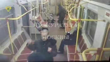 Полицейские задержали напавшего с ножом на пассажиров поезда на Сокольнической линии